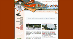 Desktop Screenshot of borlum.co.uk